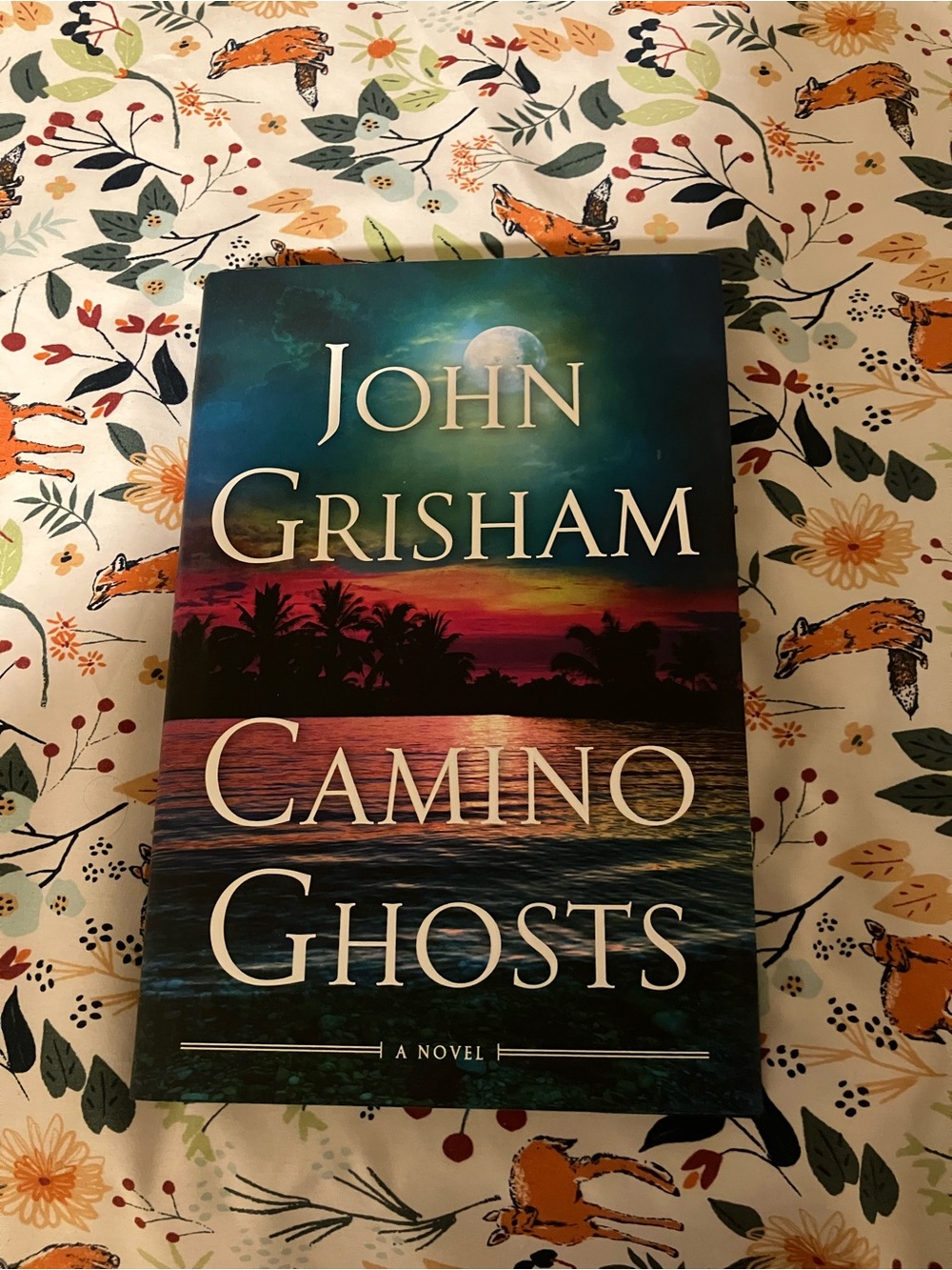 John Grisham Camino Ghosts Hardcover Book in Good Condition